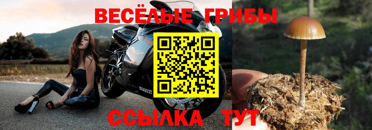 Псилоцибиновые грибы MAGIC MUSHROOMS  Галлюциногенные грибы Magic Shrooms  Вход с VPN  Гудермес 